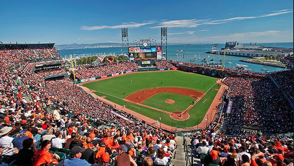 San Francisco Giants MLB Baseball Teamworks Wallpaper Border . 5